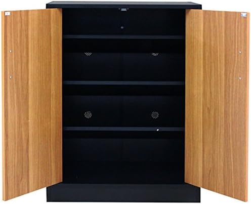 Shoe Storage Unit with 2 Doors and 3 Shelves (Beech Black)