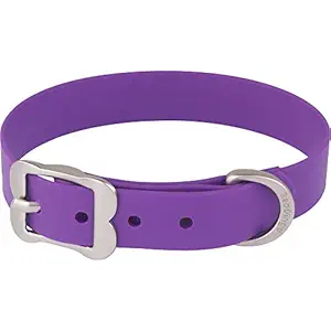 Red Dingo Vivid PVC Plastic Purple Dog Collar, XS