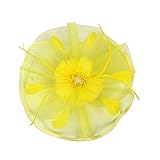 Damen Hut Blume Mesh Bänder Federn auf einem Stirnband Haarspange, LEEDY 20er Jahre Hair Clip Haarnadel im Retro Style Gericht Haarband Party Headwear Stirnbänder Great Kostüm Kopfbedeckung