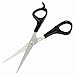 Stainless Steel Blade Black Plastic Handle Hair Scissors 6.7"