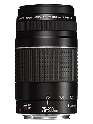 Canon EF 75-300mm f/4.0-5.6 III Objectif