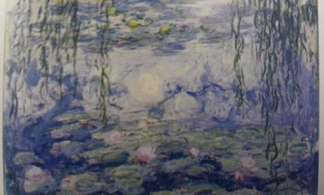 Preisvergleich Produktbild Tomax Nympheas 1000 Stück Mini Claude Monet Puzzle