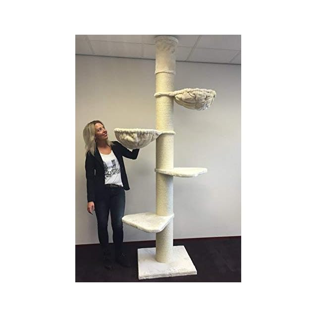 Arbre A Chat Xxl Geant Maine Coon Fantasy Plus Beige