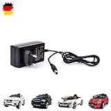 Output vom Ladegerät 12V und 1000mAh