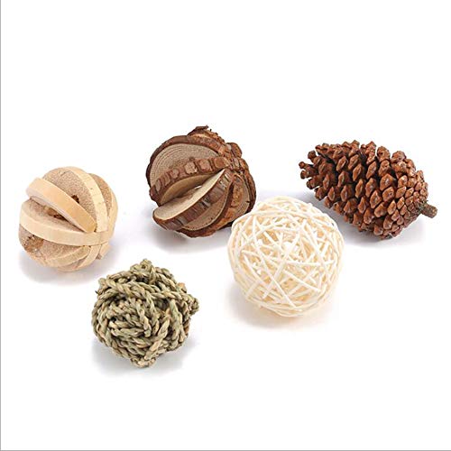 Pozodul - Juego de 5 hámsters de Madera para Masticar, Conejo, gérbil, Cuidado de los Dientes, Juguetes para Masticar