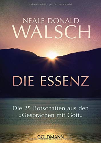 Die Essenz: Die 25 Botschaften aus den 