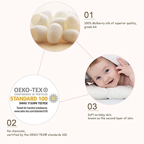 LILYSILK Seide Kissenbezug Kissenhülle aus 100% Maulbeerseide 1 Stück 19 Momme in Schachtelverpackung Silbergrau 40x80cm - 6