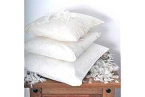 Value Comfort Home Luxury Plump Pack of FOUR (4) 100% DUCK Feather Washable Cushions Inserts Fillers Pads (Cotton Rich Down Proof Cover) 20" x 20"