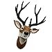 Produktbild Garden Statues & Sculptures - Simulation Deer Head Model Great Birthday Gift Nature Lovers Garden Decor -Head Moose X Garden Decor Animal Big Cypress Camera Head 3d Home Head Deer Wall Hu