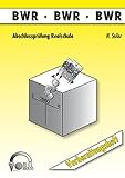 BWR (Rechnungswesen): Vorbereitungsheft mit getrenntem Lösungsheft by 
