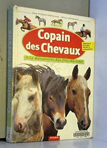 Télécharger Copain des chevaux : A la découverte des fils du vent livre En ligne