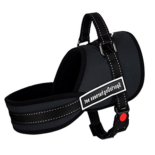 MultiWare-Dog-Harness-Vest-Dog-Walking-Harness-Soft-Adjustable