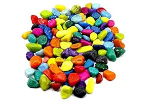 Foodie Puppies Multi-Color Decorative Small Stone for Garden/Lawn/Aquarium Decoration Glossy Stones for Home Decorative, Vase Fillers, Aquarium Fish Tank,Garden (3 Kg)