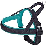 Nobby 80551-34 Norweger Geschirr 