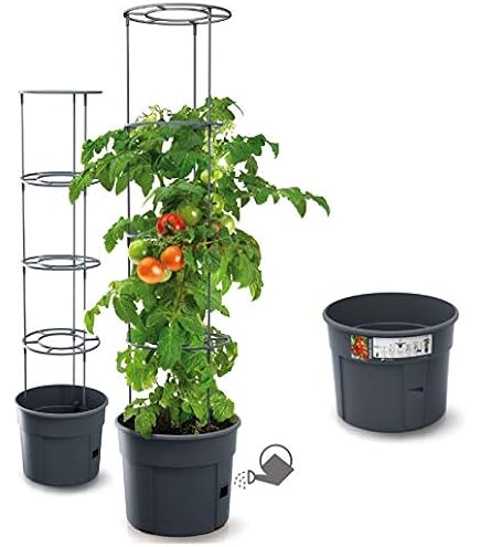Gewächshaus Balkon Tomatenhaus Tomatengewächshaus Foliengewächshaus Stabil Verstärktes