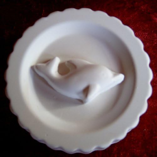 Dolphins Silicone Soap Wife – Finish Strong