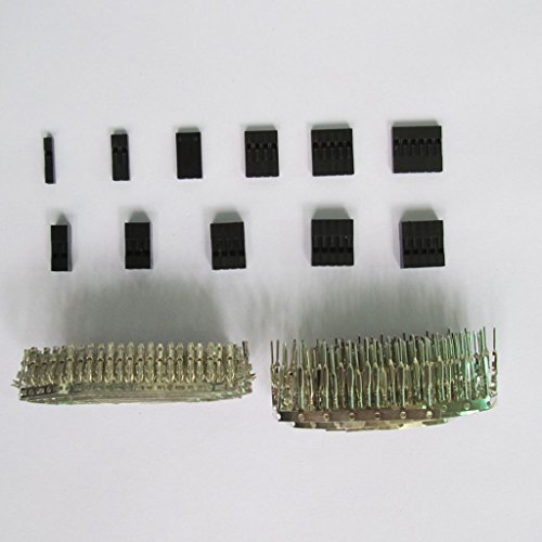 MagiDeal 620 PCS 2,54 mm Stiftleiste, Anschluss Gehäuse weiblich, in Frauen-Pin Connector Kit für Dupont - 3