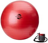 SPECIAL TODAY - Fitness Swiss Ball 65cm with Pump - Best for Abs - Stability & Tone - Made with Anti-Burst Material - For Cross Fitness - Yoga & Pilates - Free Ebook Included Featuring 20 Core Crushing Exercises & Workouts