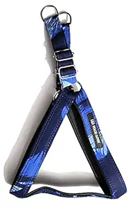 Tame Love? Army Chest Belt Harness for Adult Dog (Blue Color - 1.25 Inch)