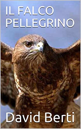 Il falco pellegrino (racconti) – David Berti Il falco pellegrino (racconti) – David Berti