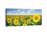 bild sonnenblumenöl Hohe Lichtbeständigkeit und lange Haltbarkeit, 100% Handarbeit aus Deutschland; verschickt in einer stoßfesten und gepolsterten Verpackung