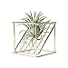 Produktbild Arteki Rustic Style Air Plant Stand Metal Double-Laye Geometrical Shaped Square Grid Air Plant Flower Holder Tillandsia Stand Geometrical (Gold)