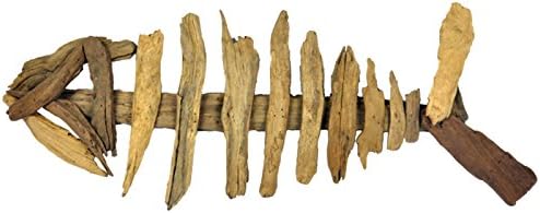 Blossom and Blooms Q-Driftwood  Fish Ornament, Wood, Brown, 61 x 4 x 23 cm