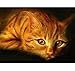 Produktbild JINLXG Diamant Malerei Bohrer Runde EIN Duell Kitty 5D DIY Diamant Malerei Stickerei Dekoration 40X50 cm Rahmenlose