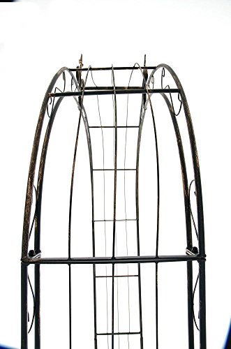 CLP Rosenbogen SUN Eisen pulverbeschichtet ( Metall ) Breite 160, Tiefe 35 cm, Höhe 260 cm bronze - 5