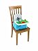 Fisher-Price Thomas & Friends Tray Play Booster Seat