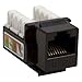 Produktbild Schwarz Cat Keystone Punch Down Jack Cat-6 RJ-45