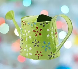 Royal baskets 2 litres Hand Painted Metal planters Oval Watering Can - Rust Free Home Decor Gifting, Garden, Gardening, Tools (Pack of, 1,Color Green)
