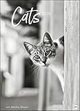 Wegler Cats Edition. Wandkalender 2020. Monatskalendarium. Spiralbindung. Format 49 x 68 cm by 