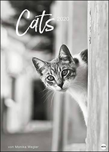 Wegler Cats Edition. Wandkalender 2020. Monatskalendarium. Spiralbindung. Format 49 x 68 cm