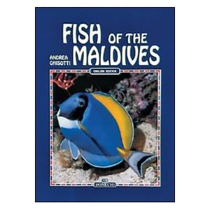 Pesci delle Maldive. Ediz. inglese
