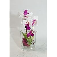 Lila,pink,weiße Phalaenopsis im runden Glas-Tischgesteck,Tischdeko mit künstlichen Orchideen