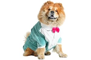 Barks & Wags cotton blend Gaberdine Tuxedo with Bow Tie for Dogs & Cats (XXL, Turquoise Tux with Black Bow Tie), 1 count