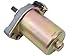 Price comparison product image Starter Motor Electric Start for Aprilia Area 51 Gulliver Rally SR50 SR Sonic Benelli 491, K2 Ark Beta Eikon, Italjet Dragster, MBK Mach G Nitro/Ovetto, Neos Malaguti F12 Phantom F15 Firefox Motowell Magnet RS, Yamaha Aerox Jog RR 50 Minarelli