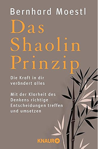 Das Shaolin Prinzip Die Kraft In Dir Verandert Alles Mit Der Klarheit Des Denkens Richtige Entscheidungen Treffen Und Umsetzen Ebook Moestl Bernhard Amazon De Kindle Shop