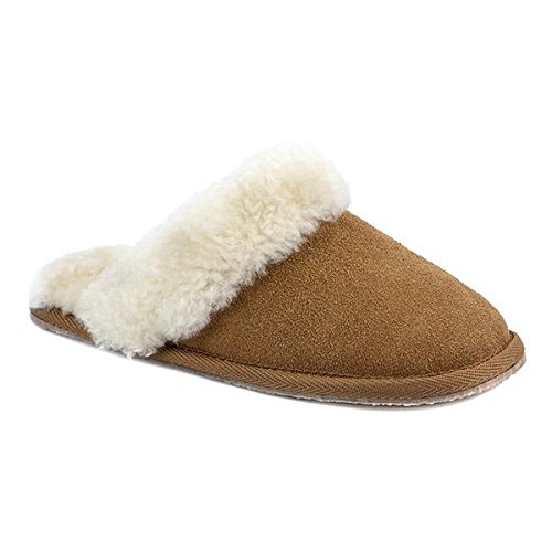 « Click to Enlarge and to go to Amazon »