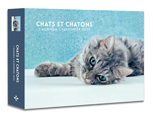 Preisvergleich Produktbild L'agenda-calendrier chats et chatons
