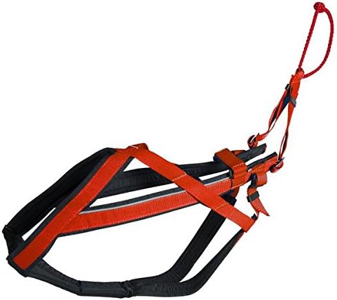 neewa 8033087538427 – Racing Harness Red Large