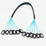 YIWENTEC Câble SATA 3 III Haute Vitesse 6 Gbps pour Serveur 1 m 6 sata 1M