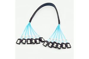 YIWENTEC Kabel Sas o wysokiej prędkości 6 Gb/s Sata 3 iii do serwera 1M (6 SATA 1M) ¡