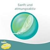 Pampers Windeln New Baby Gr.0 Micro 1-2.5kg Tragepackpack, 24 Stück - 4