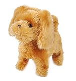 AN DER LEINE FÜHREN - Über die Fernbedienung lässt er sich problemlos an der Leine führen, hier werden auch die Funktionen gesteuert.