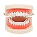 Produktbild Hip Hop Teeth TAOtTAO 1Pair Hip Hop Teeth Grillz Top Mouth Teeth Grills Fashion Removable Dental Grill (Silber)