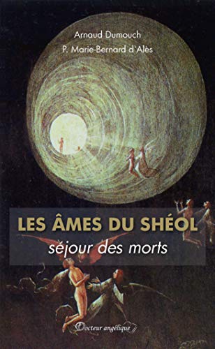Télécharger Les âmes du Shéol, séjour des morts (poche) PDF