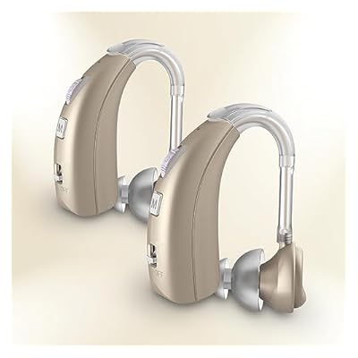 Delmicure 1303D Rechargeable Sound Device, Intelligent Noise Cancellation, Champagne Gold, Two Pack