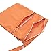 Damero Cute Travel Baby Wet and Dry Cloth Diaper Organizer Bag (Medium, Orange)